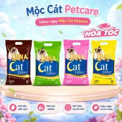 CÁT VỆ SINH CHO MÈO SIÊU TIẾT KIỆM 9L/18L/26.5L-CHẤT LƯỢNG CAO-ÍT BỤI-VÓN TỐT-KHỬ MÙI MẠNH-AN TOÀN