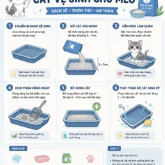CÁT VỆ SINH CHO MÈO SIÊU TIẾT KIỆM 9L/18L/26.5L-CHẤT LƯỢNG CAO-ÍT BỤI-VÓN TỐT-KHỬ MÙI MẠNH-AN TOÀN