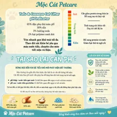 EASY SCOOP CÁT VỆ SINH ĐẬU NÀNH CHỈ THỊ pH 6L/TÚI Theo Dõi Sức Khỏe Mèo-Dòng Cát Cao Cấp-Không Bết Đáy-Vón Nhanh