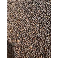 hạt tiêu Đăklăk 200g