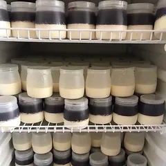 Combo 10 hũ sữa chua nhựa 100ml