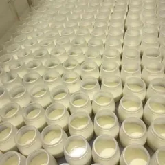 Combo 10 hũ sữa chua nhựa 100ml