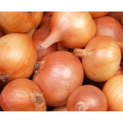 Combo củ hành tây trắng chọn lọc loại 7-10 củ 1kg