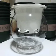 Chậu nhựa thuỷ sinh tự tưới tiện lợi cho cây cảnh - Bình thủy sinh trồng cây