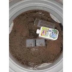 Vệ Sinh Lồng Giặt Combo Tẩy Lồng Máy Giặt, Tẩy Mốc Gioăng Caosu Ailla Làm Sạch Nhanh An Toàn