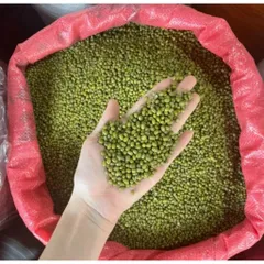 1 kg đậu xanh, đỗ xanh hàng chuẩn đẹp, làm giá đỗ