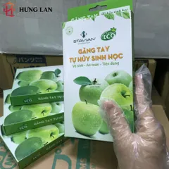 Hộp Găng Tay Tự Hủy Sinh Học An Toàn Bảo Vệ Môi Trường