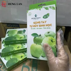 Hộp Găng Tay Tự Hủy Sinh Học An Toàn Bảo Vệ Môi Trường