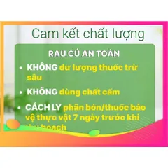 1kg Bí Non. xào, làm bánh, ăn lẩu, nấu canh, hầm xương ... rất ngon