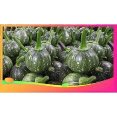 1kg Bí Non. xào, làm bánh, ăn lẩu, nấu canh, hầm xương ... rất ngon