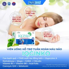 [CHÍNH HÃNG] Viên Uống Bổ Não IQGinko Bulgaria (Hộp 30 Viên) – Tăng Cường Tuần Hoàn Máu Brain, Giảm Đau Đầu, Mất Ngủ & H