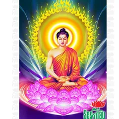 Bộ 8 Kinh Đọc Hàng Ngày Sám Hối, Hồi Hướng, Chú Đại Bi, Tâm Kinh, Khấn Nguyện, Đại Bi Phát Nguyện cho phật tử tu học