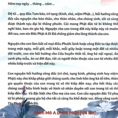 TO53 tờ chú Hồi Hướng Công Đức Cho Cha Mẹ 1 mặt ép plastic siêu đẹp  2 SIZE A4 VÀ A3 ÉP PLASTICS