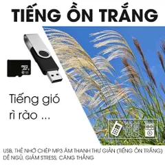 USB kingston Tiếng Ồn Trắng, Âm thanh tự nhiên giúp giảm căng thẳng, dễ ngủ, thư giản, ASMR Audio hiệu quả