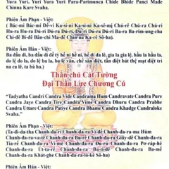 TO18 tờ chú Thần Chú Trong Kinh Trường Thọ 1 mặt plastic siêu đẹp  2 SIZE A4 VÀ A3 ÉP PLASTICS
