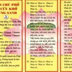 TO26 tờ chú Thần Chú Phổ Độ Cứu Khổ Chúng Sanh 2 mặt plastic siêu đẹp  2 SIZE A4 VÀ A3 ÉP PLASTICS