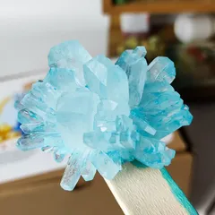 Bộ Nuôi Tinh Thể Hoa Kết Tinh Crystella bản 1 sản phẩm - Khám Phá Khoa Học, Tạo Bông Hoa Tinh Thể Lấp Lánh Dễ Dàng!