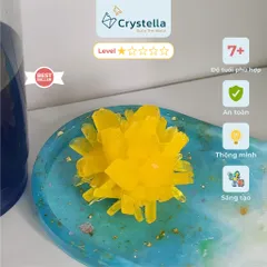 Bộ Nuôi Tinh Thể Hoa Kết Tinh Crystella bản 1 sản phẩm - Khám Phá Khoa Học, Tạo Bông Hoa Tinh Thể Lấp Lánh Dễ Dàng!