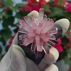 Bộ Nuôi Tinh Thể Hoa Đá Crystella - Tái Hiện Sự Kỳ Diệu Của Thiên Nhiên Ngay Tại Nhà!