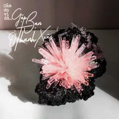 Bộ Nuôi Tinh Thể Hoa Đá Crystella - Tái Hiện Sự Kỳ Diệu Của Thiên Nhiên Ngay Tại Nhà!