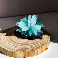 Bộ Nuôi Tinh Thể Hoa Đá Crystella - Tái Hiện Sự Kỳ Diệu Của Thiên Nhiên Ngay Tại Nhà!
