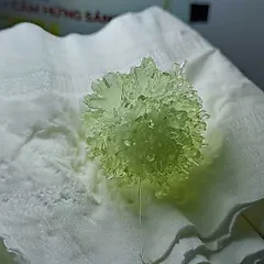 [NaMg] Bộ KIT Nuôi Tinh Thể NaMg Xanh Lá Non Crystella