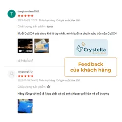 Bộ Nuôi Tinh Thể Crystella Trái Tim Xanh - Món Quà Khoa Học Đầy Ý Nghĩa Lấp lánh chỉ sau 1 ngày nuôi (13+)