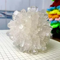 [NaMg] Bộ KIT Nuôi Tinh Thể NaMg Trắng Trong Suốt Crystella
