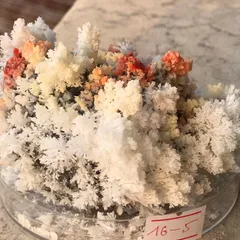 Bộ Nuôi Thí Nghiệm Khoa Học Crystella Hoa Đa Sắc - Tái Hiện Vịnh Hạ Long Rực Rỡ Ngay Tại Nhà, Phù Hợp Cho Bé Từ 7 Tuổi