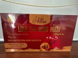 Nấm linh chi sừng hươu nguyên tai 