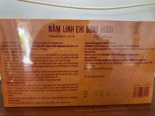 Nấm linh chi sừng hươu nguyên tai 