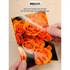 Giấy In Ảnh A3 Media 1 Mặt Bóng 30x42 115gsm 100 Tờ, Glossy Photo Paper Giấy Ảnh Giấy In Phun Màu 840466