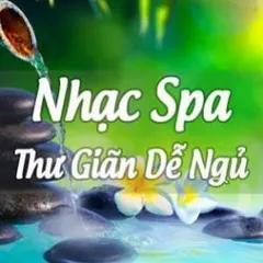 [SPA ZEN MUSIC] Thẻ Nhớ 8G Chép Hơn 30 Bài Nhạc Thiền Hay Nhất, Thiền Cho Spa - Âm Thanh Nước Chảy có hoả tốc 840514