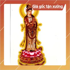 BỘ TRANH ĐÀN ĐỘ ÂM 17 BỨC CAO 40CM ĐÃ ÉP PLATICS 840594