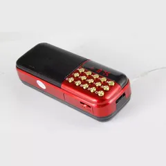 Loa Thẻ Nhớ, Nghe Kinh Phật BKK B867 (Kèm 2 Pin) có hoả tốc 840599