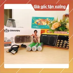 Pin loa craven chính hãng 840633
