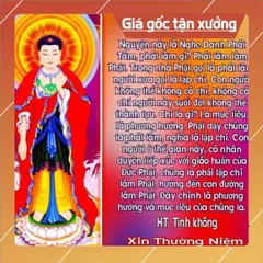 Thẻ 8G Chép Sẵn 617 Bài Tổng Hợp Pháp Môn Niệm Phật - Kinh Thiện Ác Nhân Quả, Trợ Niệm Khi Lâm Chung 840637