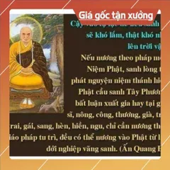 Thẻ 8G Chép Sẵn 617 Bài Tổng Hợp Pháp Môn Niệm Phật - Kinh Thiện Ác Nhân Quả, Trợ Niệm Khi Lâm Chung 840637