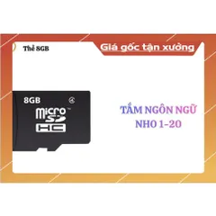 Thẻ nhớ 8GB ( Nho 1-20)- dùng cho các trẻ học tiếng Anh hoả tốc 840733