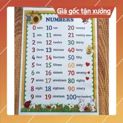 Combo 3 Bảng Học Tiếng Anh: Số, Chữ Cái, Phiên Âm IPA – A4 Ép Plastic, Màu Sắc Sinh Động CÓ HOẢ TỐC 840742