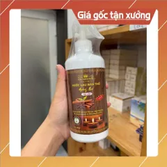 NƯỚC LAU BÀN THỜ HƯƠNG QUẾ TÀI LỘC 500ML - TẶNG CHAI XỊT NHỎ CỰC THƠM HK36 840745