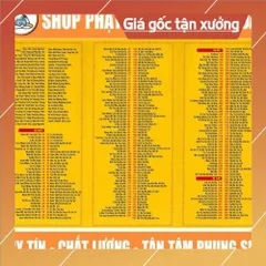 TO84 tờ chú Chú Lăng Nghiêm 2 mặt ép plastic siêu đẹp CÓ HOẢ TỐC 840770