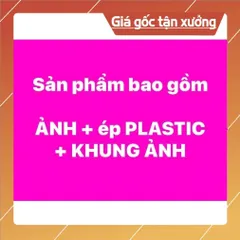 Khung Tranh ĐỨC HUỲNH GIÁO CHỦ 25cm x 35cm 840826