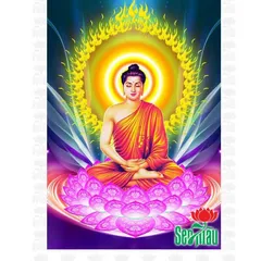 Tờ Bài Sám Hối Nên Đọc Trước Khi Ngủ KÍCH THƯỚC A4 bằng giấy, IN 1 MẶT, có cán ni lông, hình in sắc nét