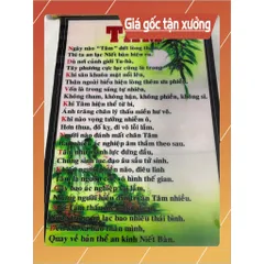 GIEO DUYÊN TRANH CUỘN  PHẬT GIÁO THỜ HOẶC TRANG TRÍ 40CM X 60CM - MẪU NGẪU NHIÊN - 9K PHÍ SÀN 840917