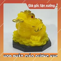 Cóc LỚN, Thiềm Thừ 10CM Ngọc Phong Thuỷ Lớn ĐẸP 840967