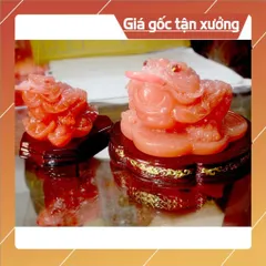 Tượng Cóc Ba Chân ngậm tiền-Thiềm Thừ chiêu tài lộc có đế-Nhiều mẫu 841037