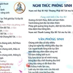 TO73 tờ chú Nghi Thức Phóng Sinh 2 mặt ép plastic siêu đẹp  2 SIZE A4 VÀ A3 ÉP PLASTICS