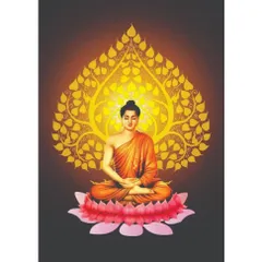 Khung Tranh PHẬT THÍCH CA - Có khung ( nhiều mẫu )  có hoả tốc 3 CỠ 841265