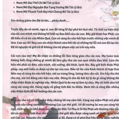 TO57 tờ chú Sám Hối Với Thai Nhi Khi Lỡ Phá Thai 1 tờ ép plastic siêu đẹp  2 SIZE A4 VÀ A3 ÉP PLASTICS